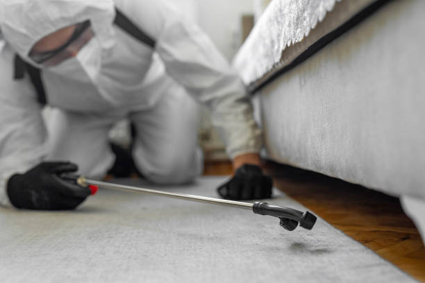Professional Bed Bug Control technician working in Copeland, OK